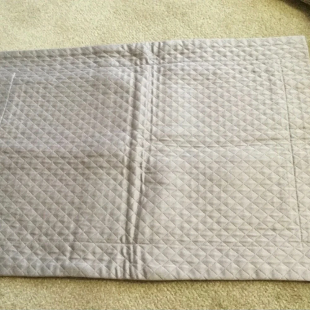 Restoration Hardware Lavender Pillow Sham